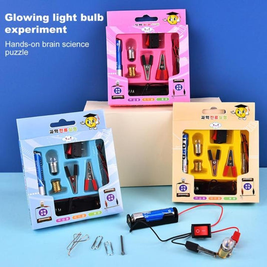 Experiment Educational DIY Bulb Set